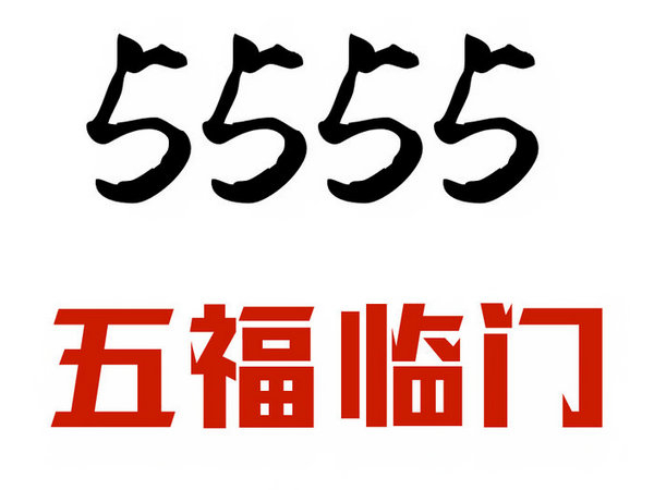 定陶尾号555吉祥号回收