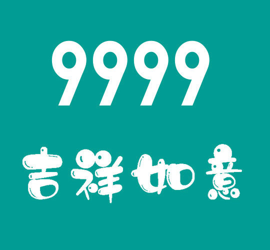 东明尾号9999吉祥号