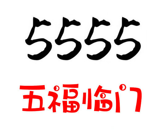 定陶尾号5555吉祥号