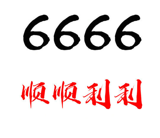 定陶尾号6666吉祥号回收